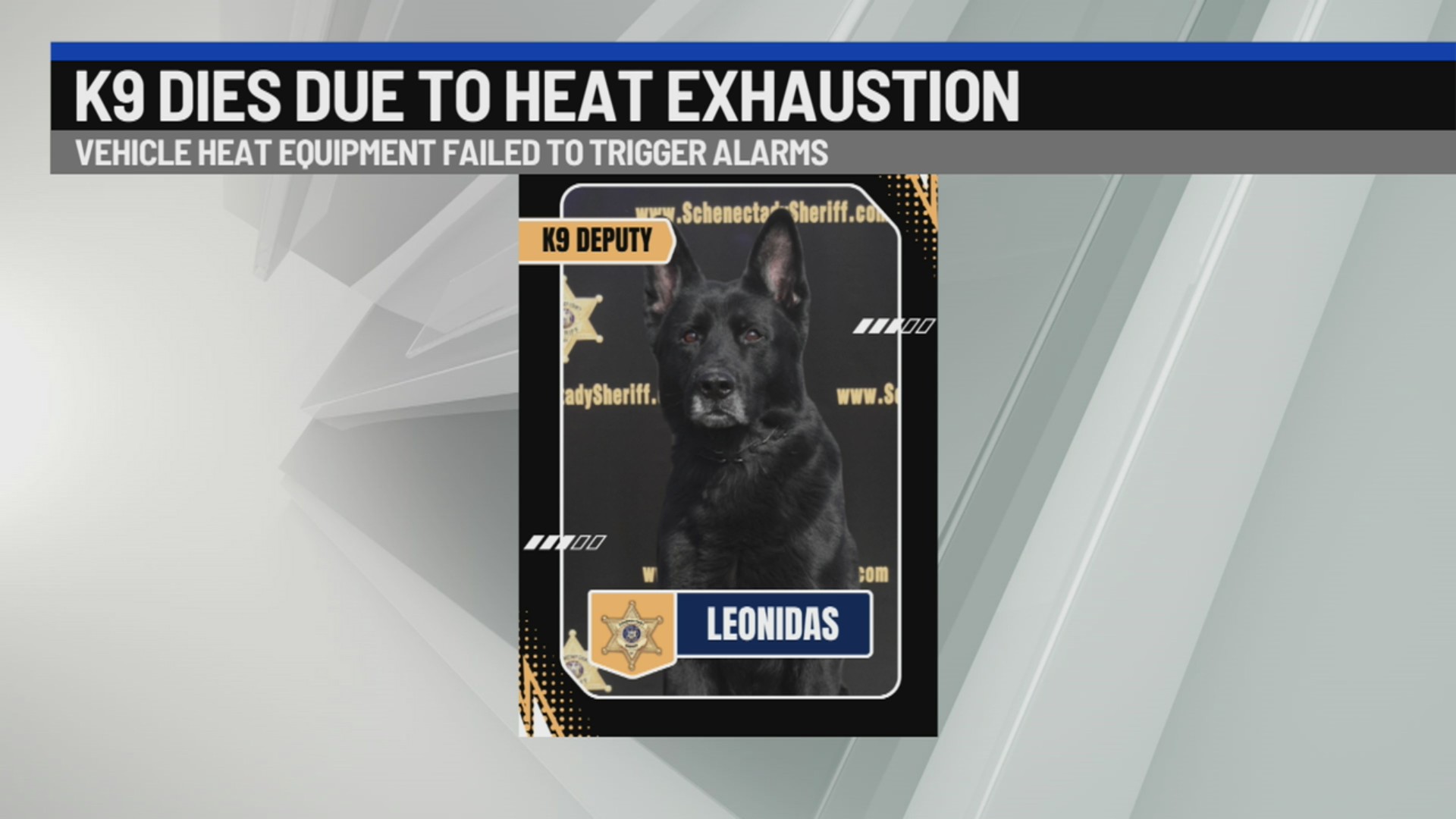 Schenectady County Sheriff’s Office K9 dies after patrol car ...