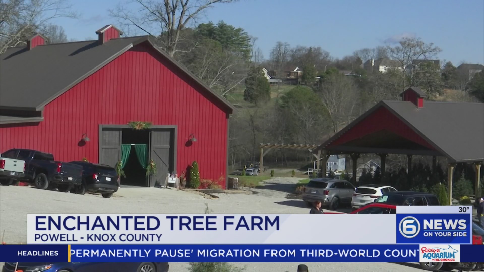 Enchanted Christmas Tree Farm sees record opening weekend as families ...