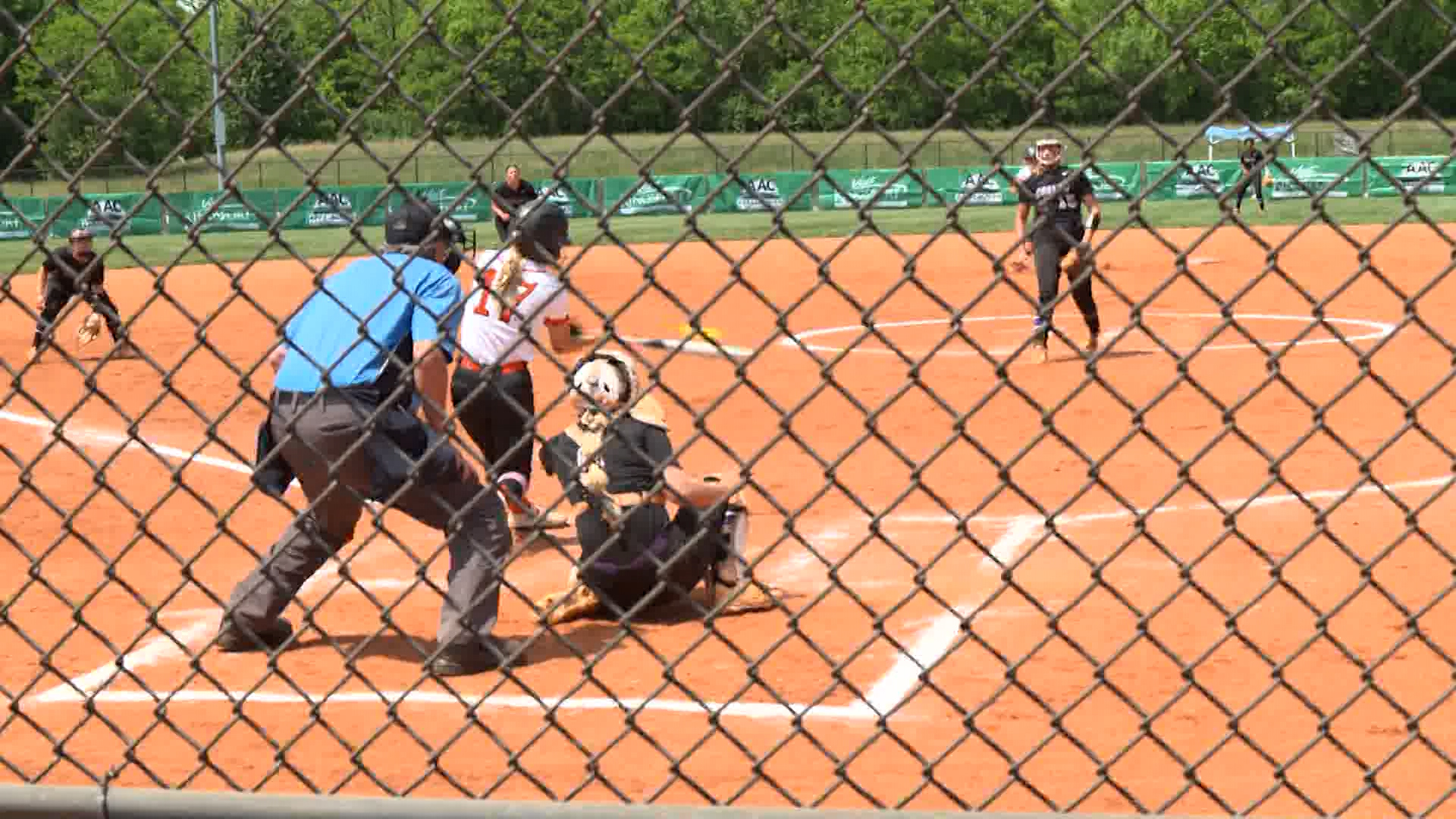 Buffs Softball Run-Rules Columbia in AAC Tournament Action – WJHL | Tri ...