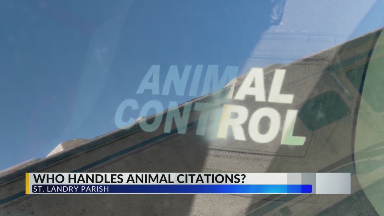 St. Landry Parish officials clash on animal control duties – KLFY.com