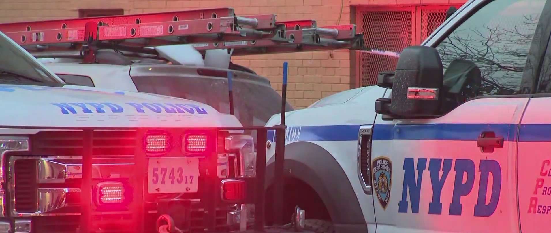 Man shot to death in Bronx subway station: NYPD – PIX11