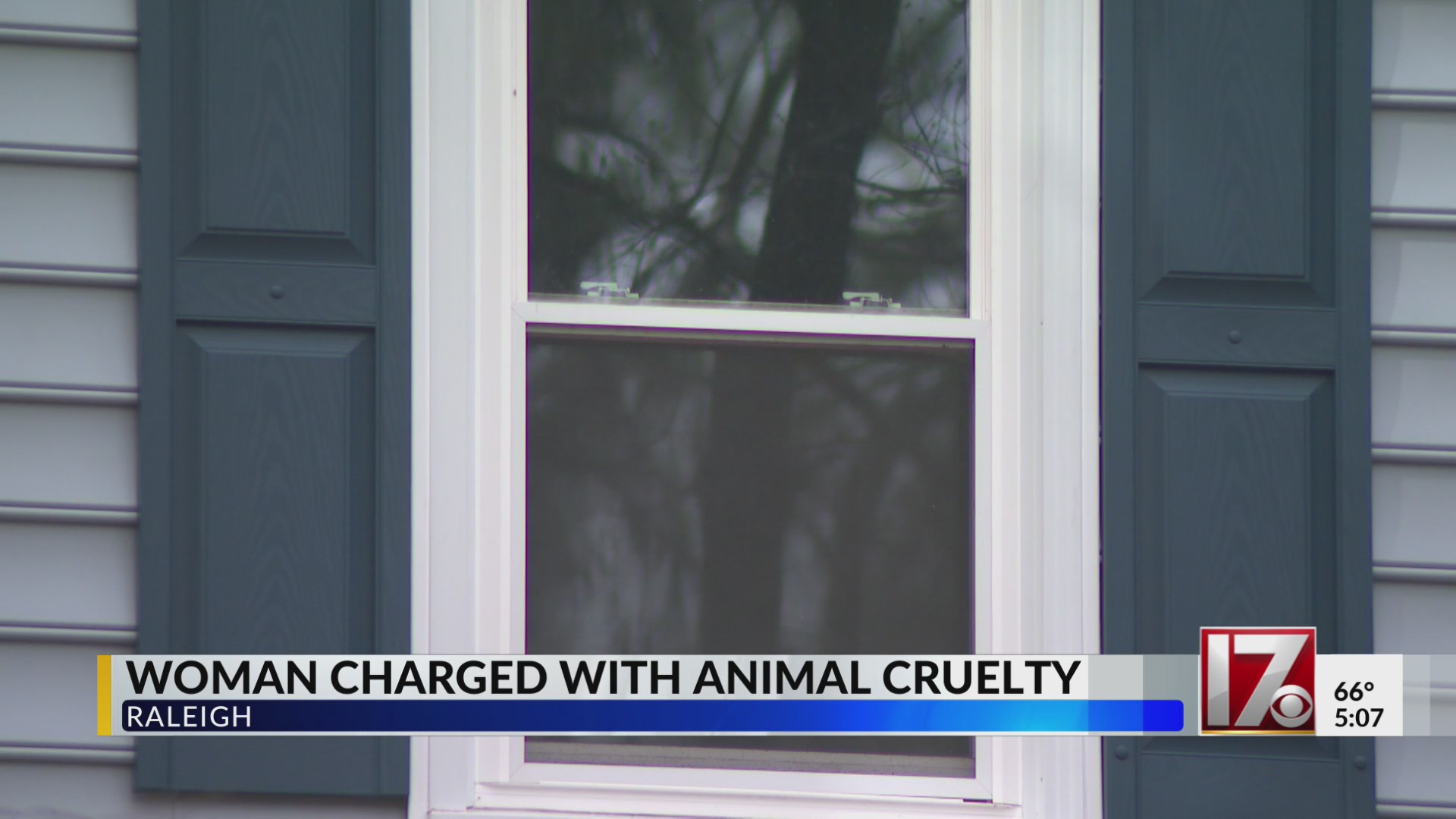 Woman charged with animal cruelty in Wake County – CBS17.com