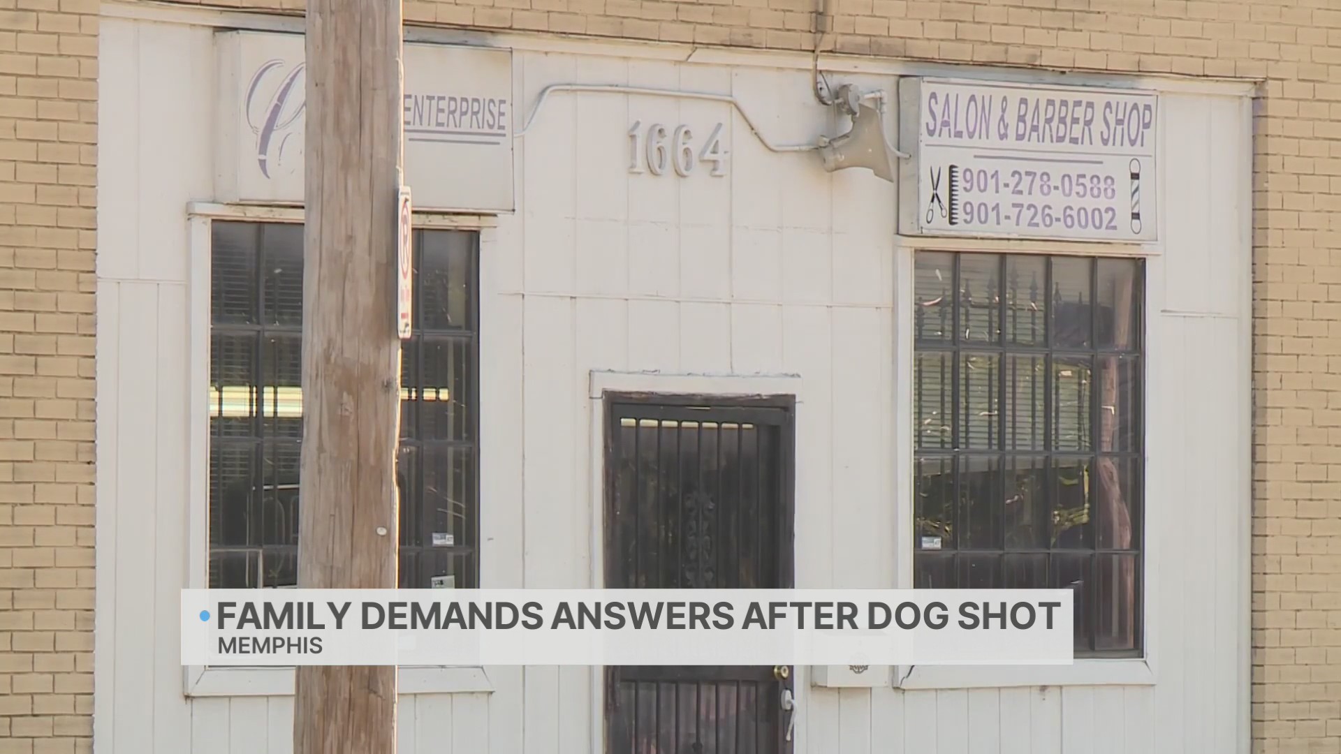 Family devastated after small pug shot to death – WREG.com