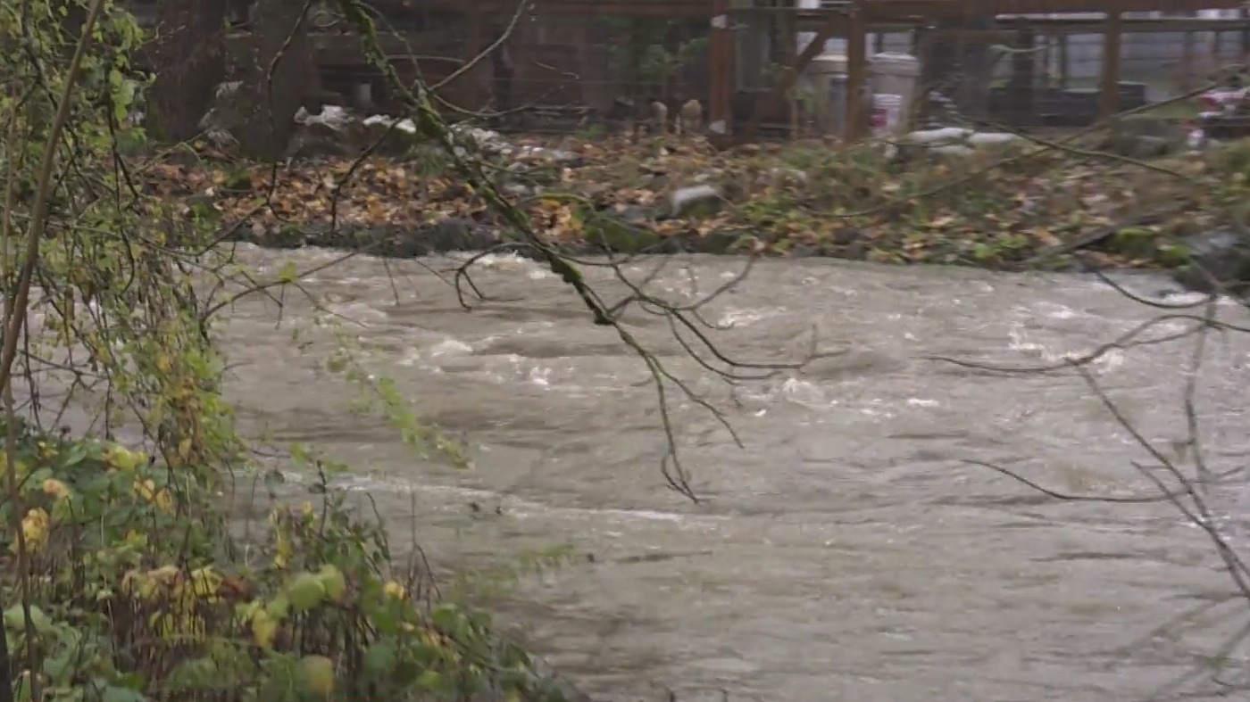 Power restored for thousands after trees fall on power lines during ...
