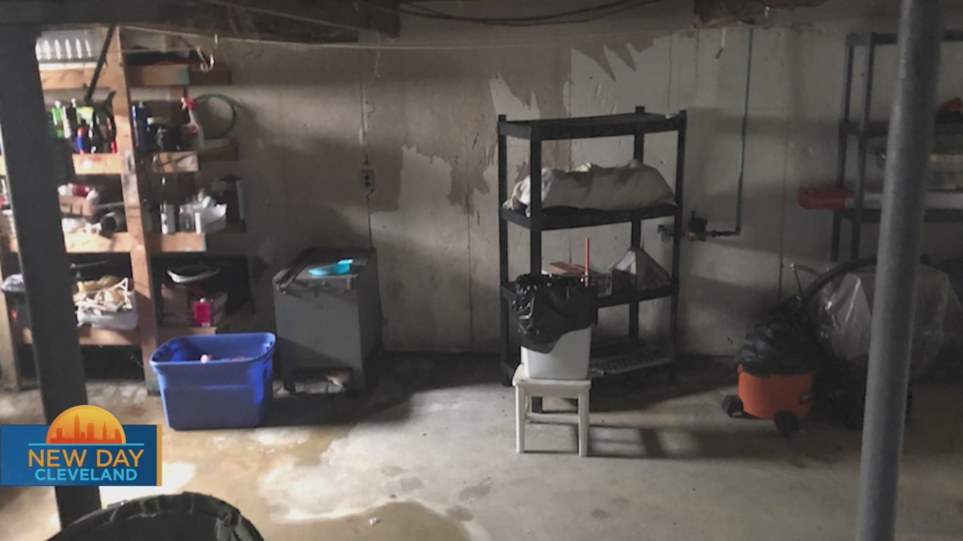 New Day Cleveland: Ohio State Waterproofing – Fox 8 Cleveland WJW