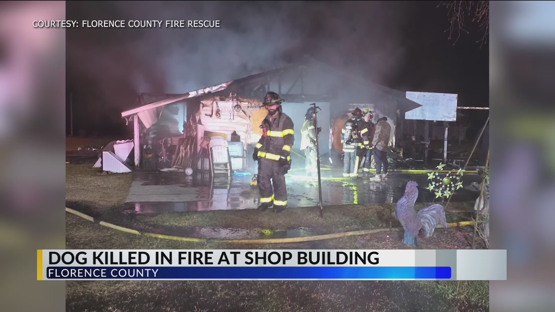 Dog dies in Florence County shop building fire, officials say – WBTW