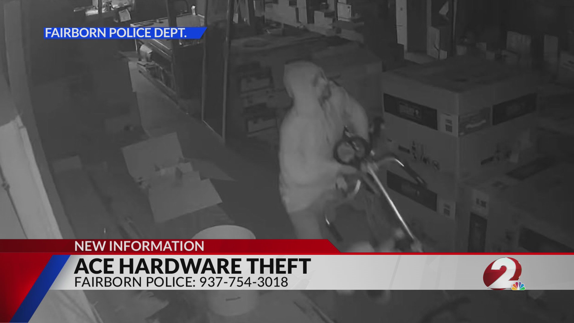Ace Hardware theft