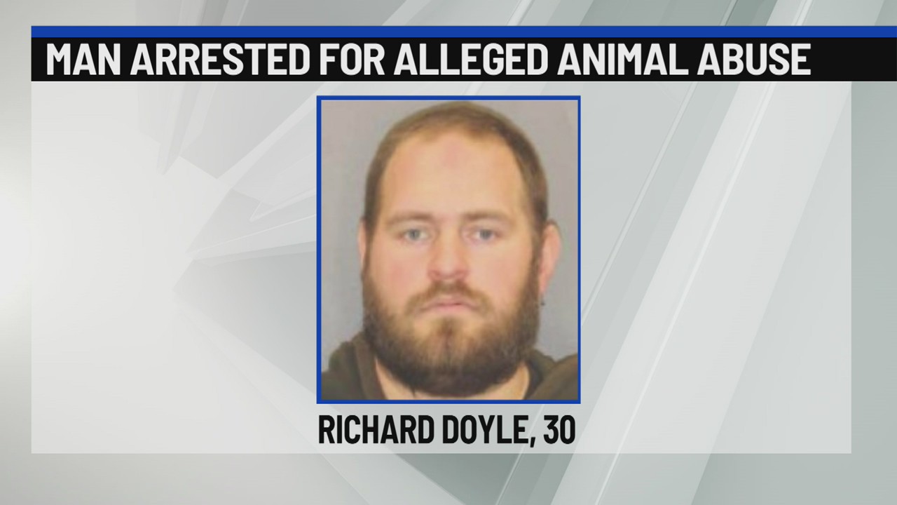 Greenfield man charged with animal abuse after dog death – NEWS10 ABC