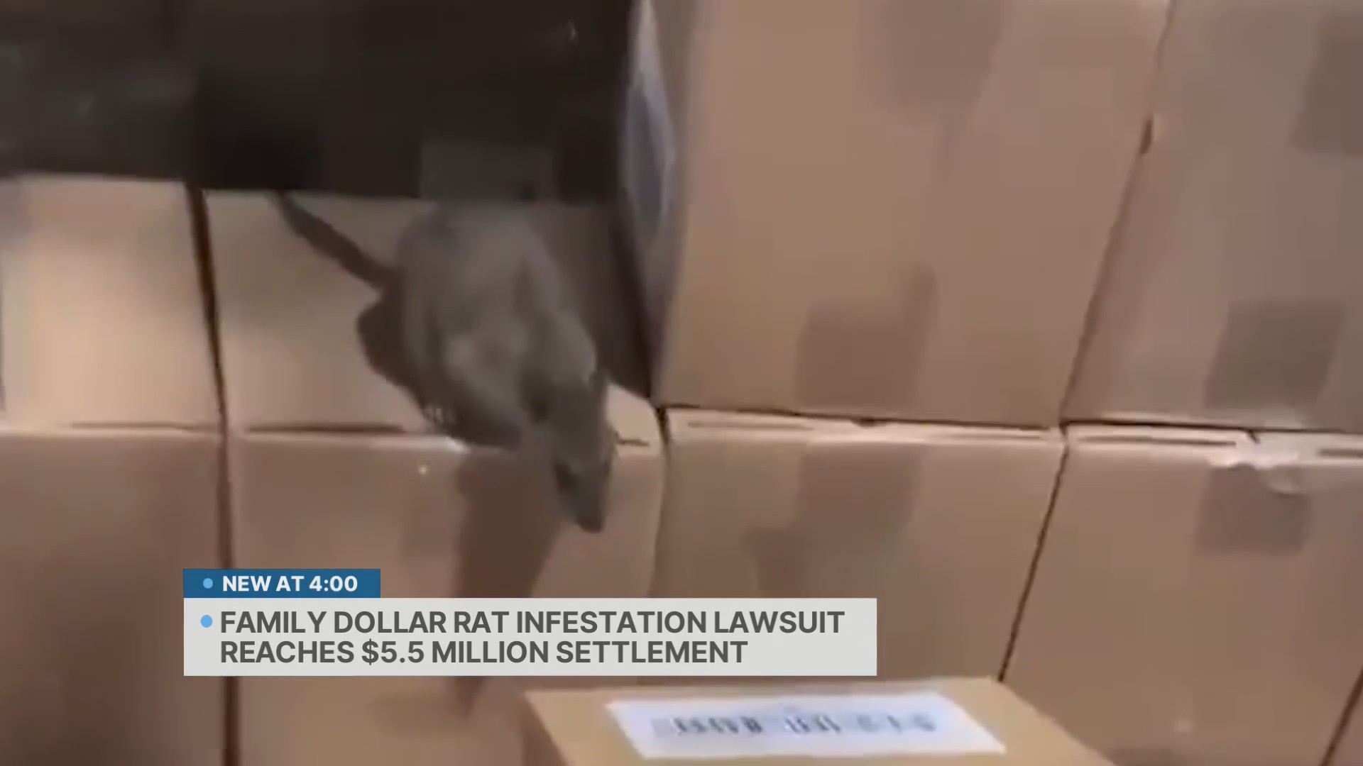 Family Dollar rat infestation lawsuit reaches $5.5M settlement