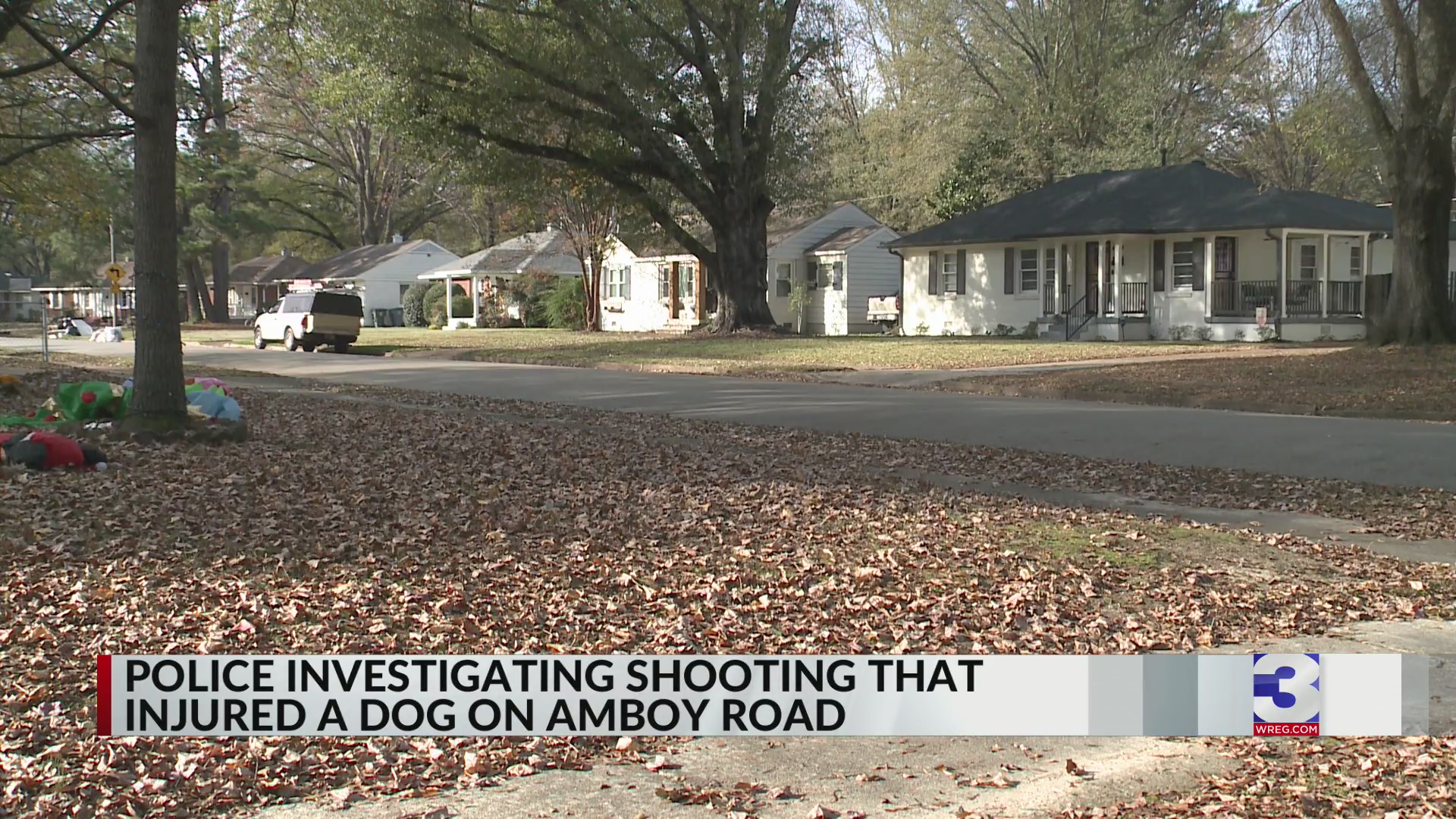 ‘Coming at us’: Dog shot after escaping backyard – WREG.com