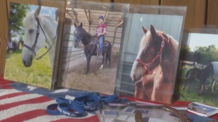 Open Close Signage Booth Equine therapy booth raises funds at Fall Festival – Eyewitness News ...