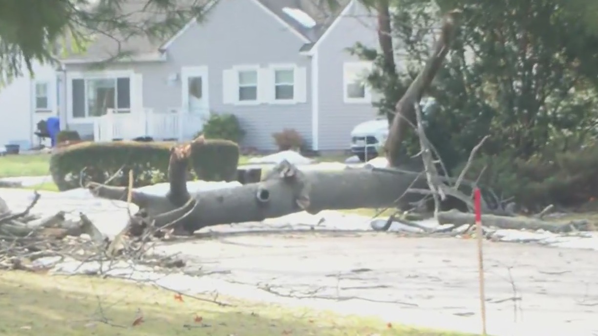 Strong winds causes downed trees, power lines in Monroe County ...