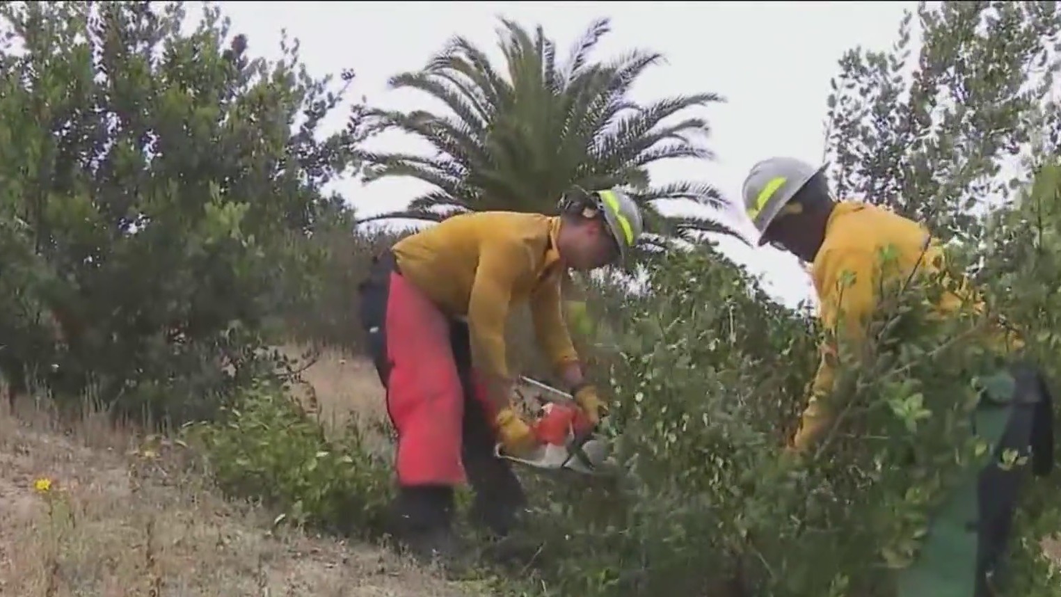 Crews help with fire prevention – FOX 5 San Diego & KUSI News