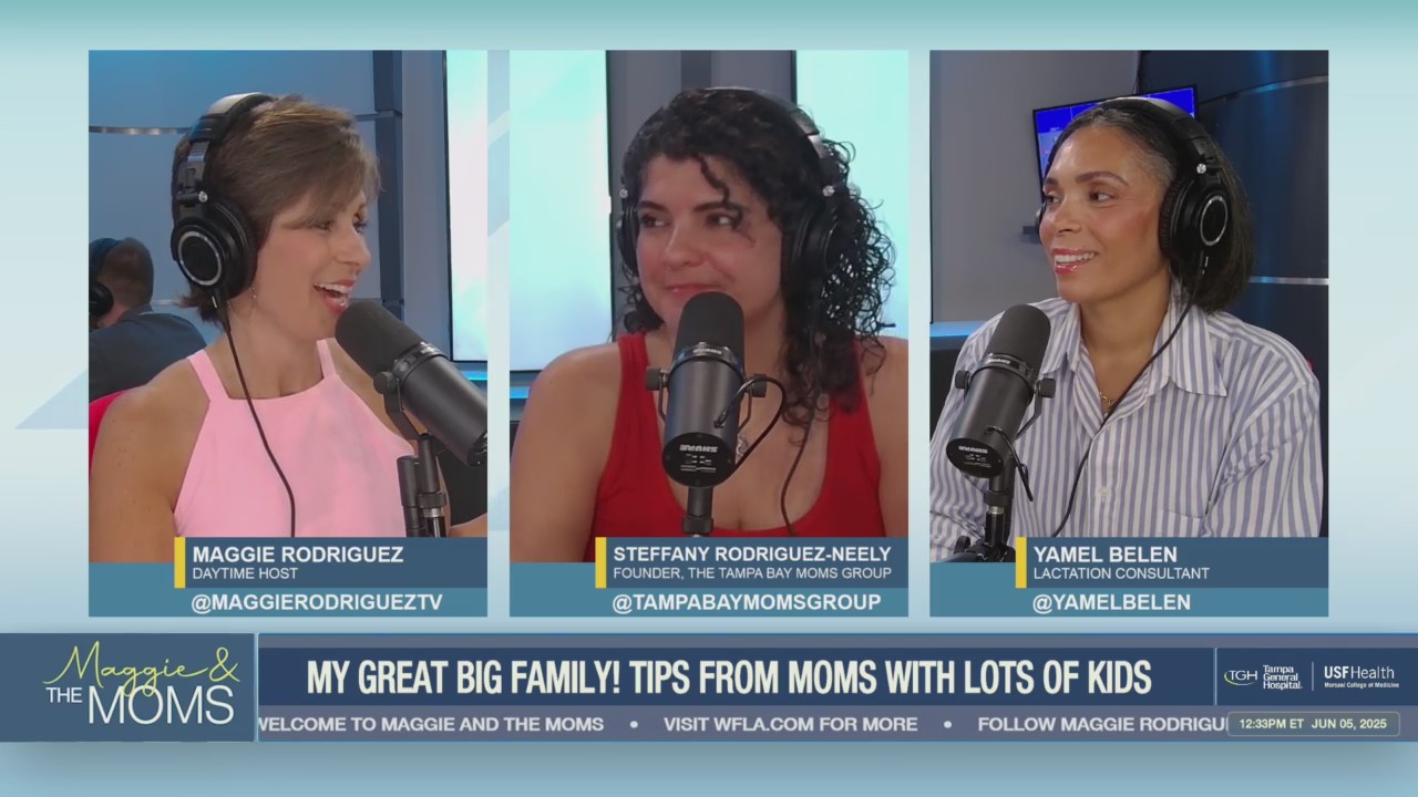 My great big family! Tips from moms with lots of kids episode artwork