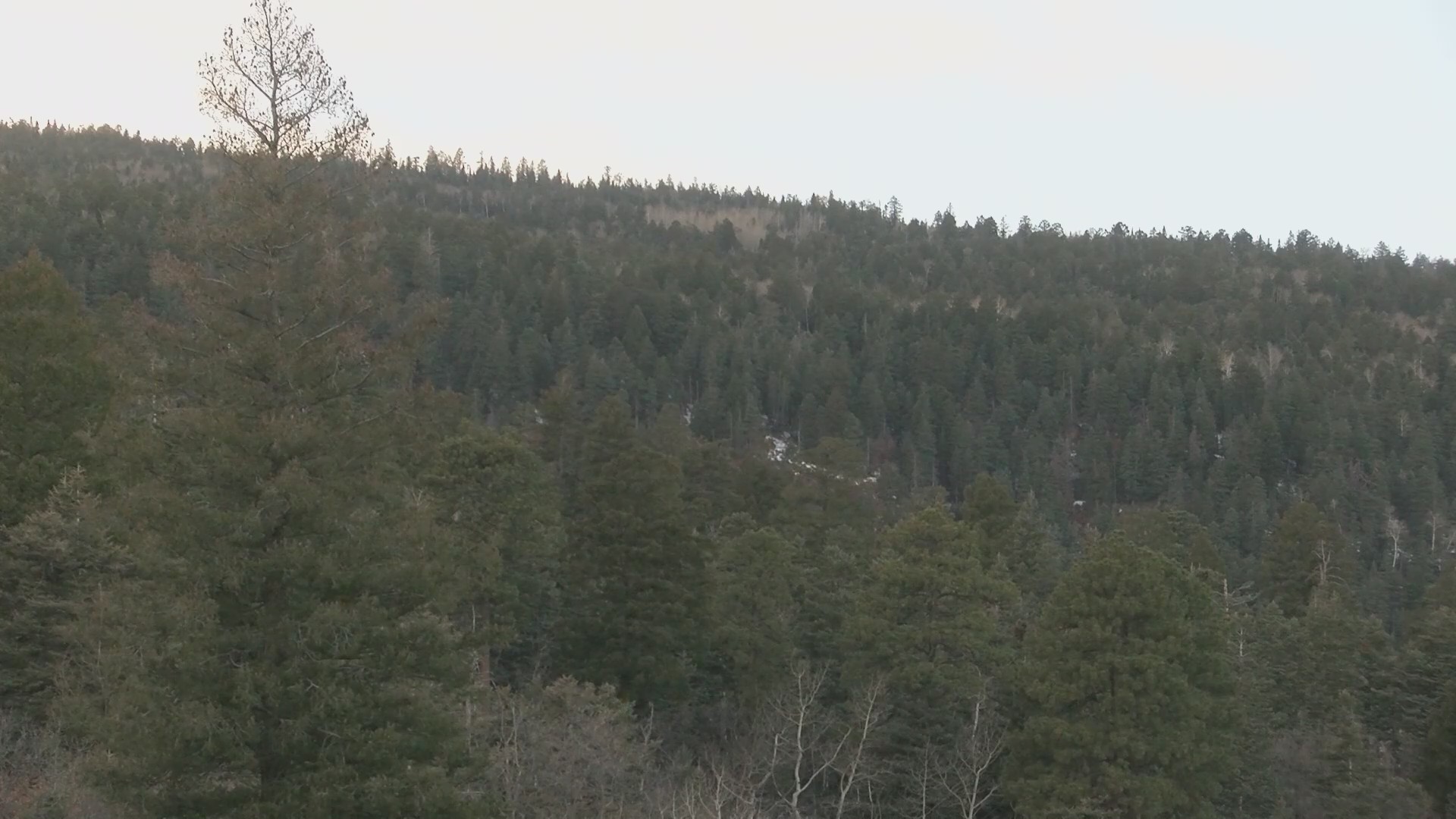 Record warm and dry December raises concerns over snowpack and wildfire ...