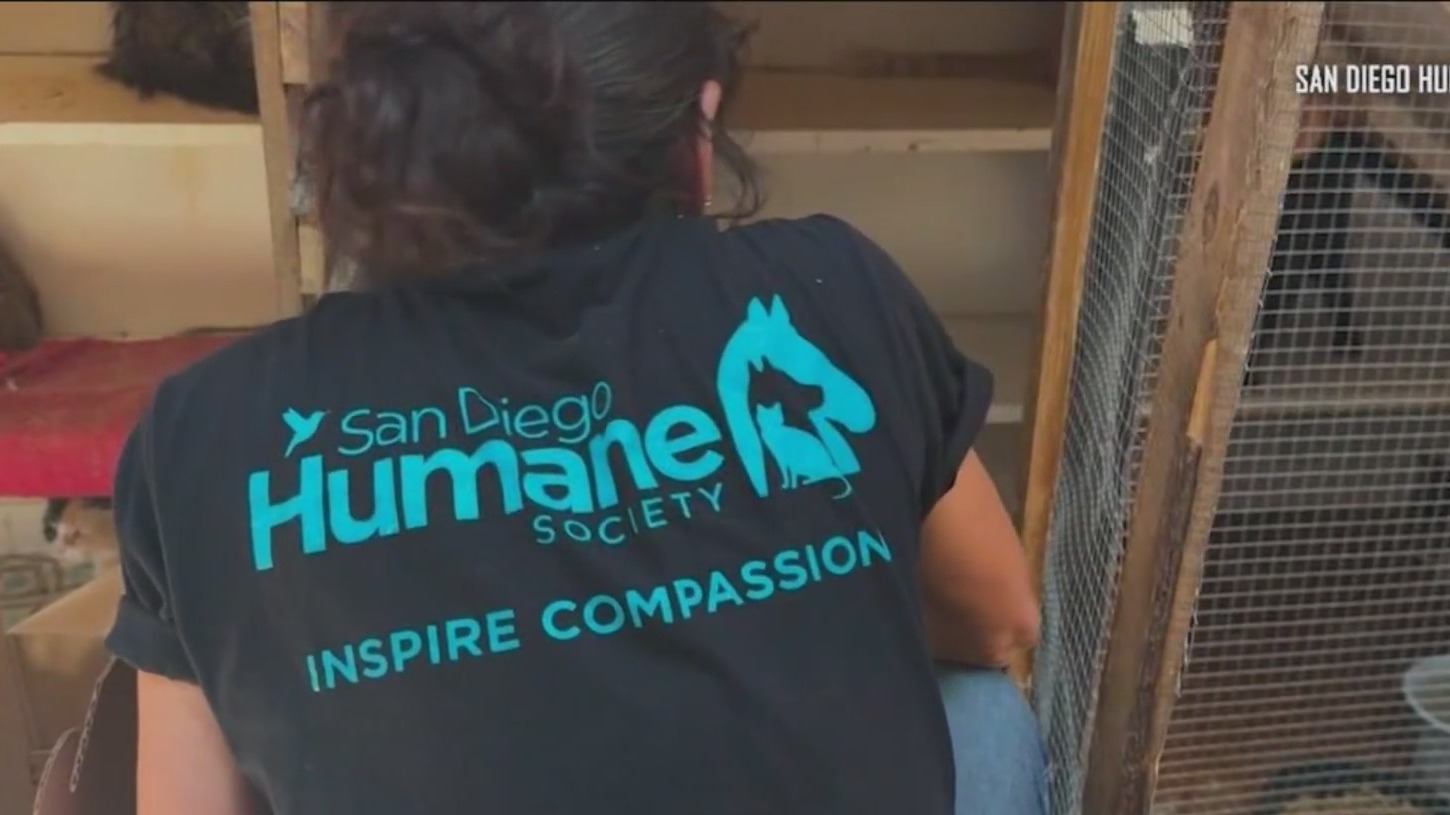 Over 300 animals seized from animal sanctuary in San Diego County – FOX ...