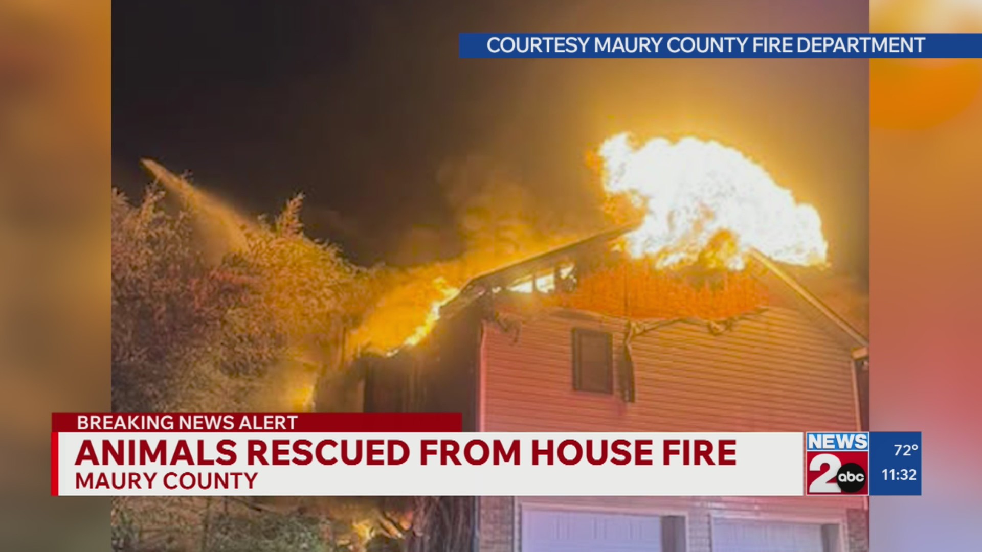 Animals rescued from Maury County house fire – WKRN News 2