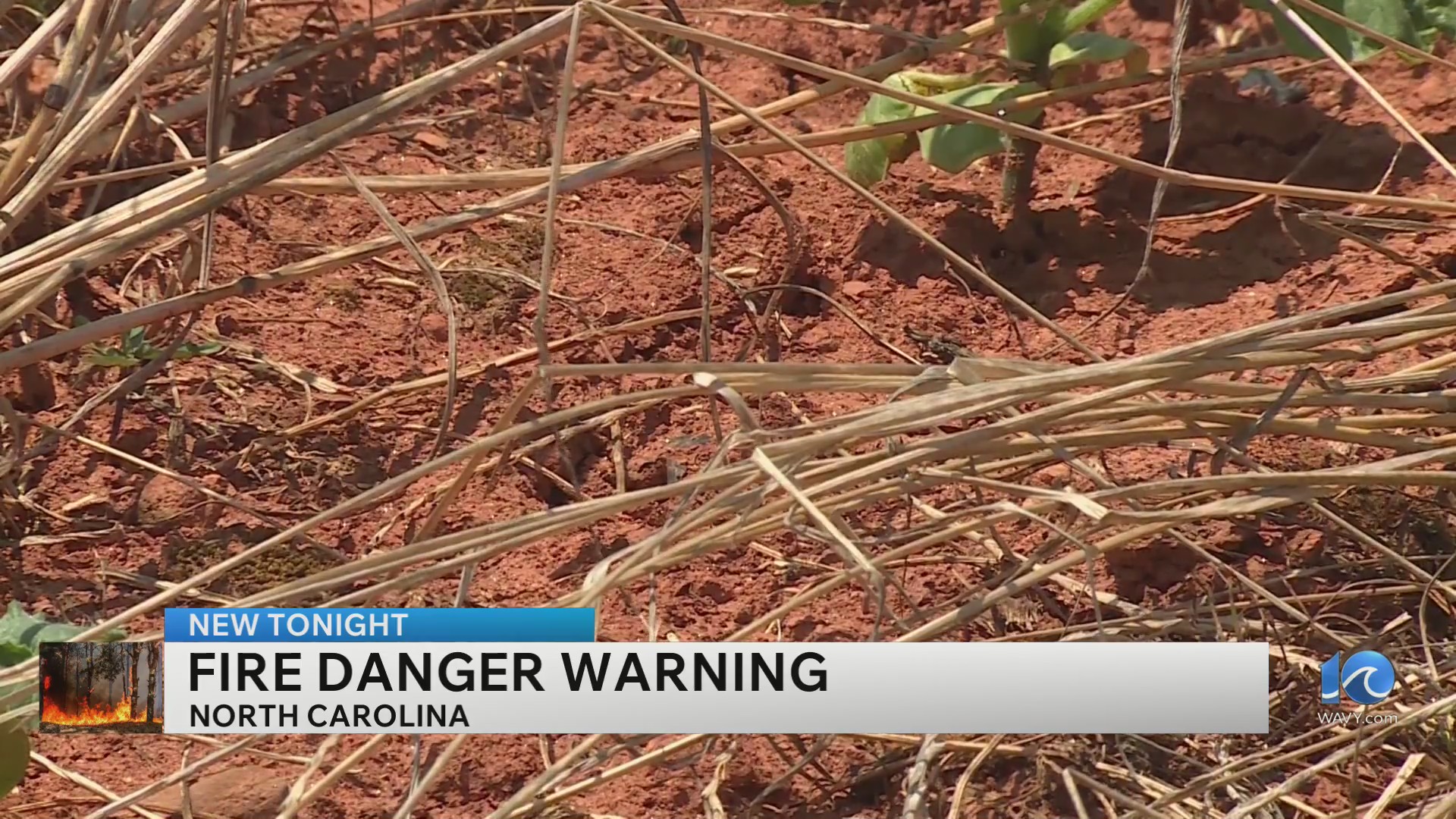 High fire danger in North Carolina due to dry conditions – WAVY.com