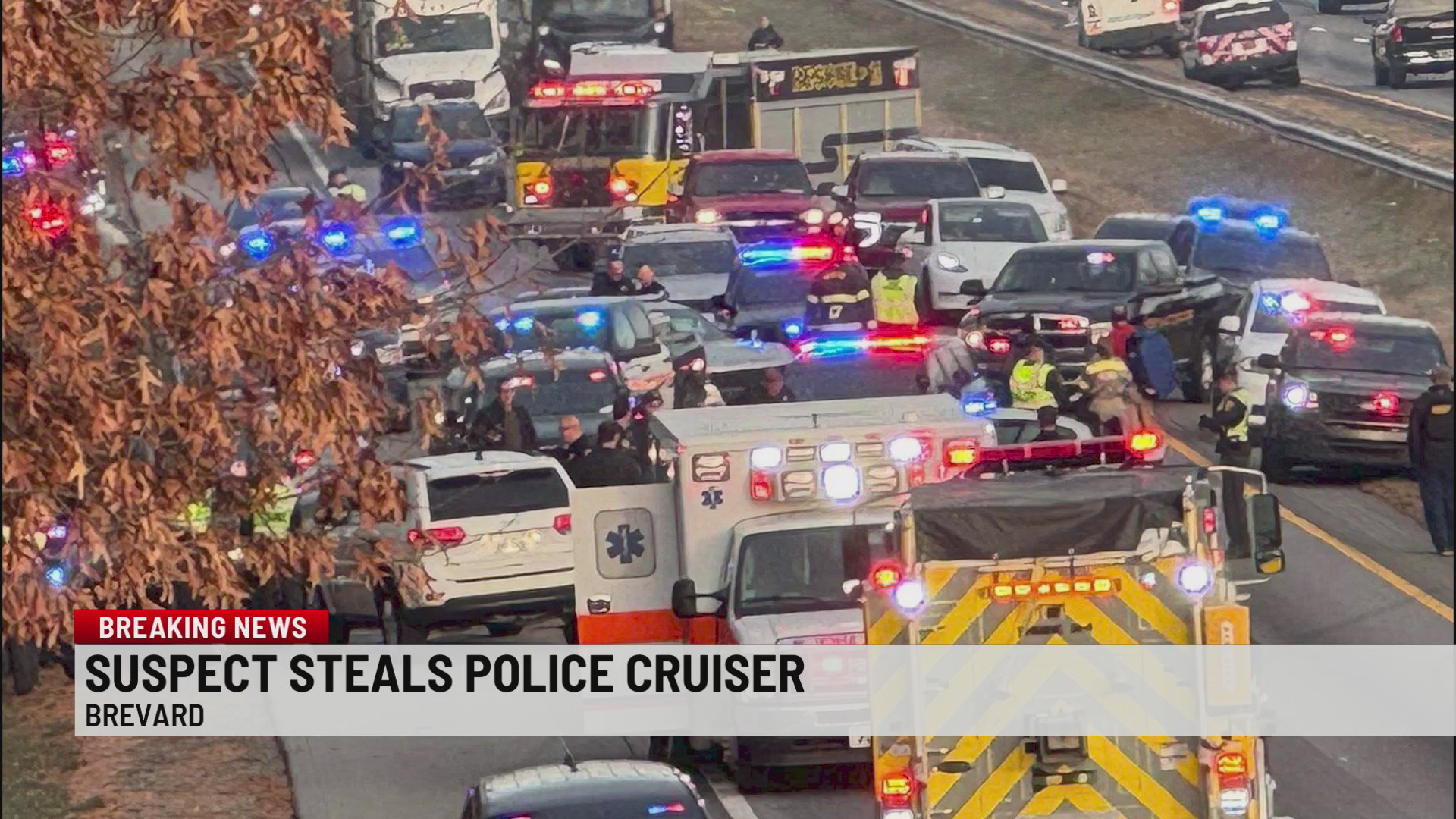 Man leads Henderson Co. deputies on chase in stolen police car – WSPA 7NEWS