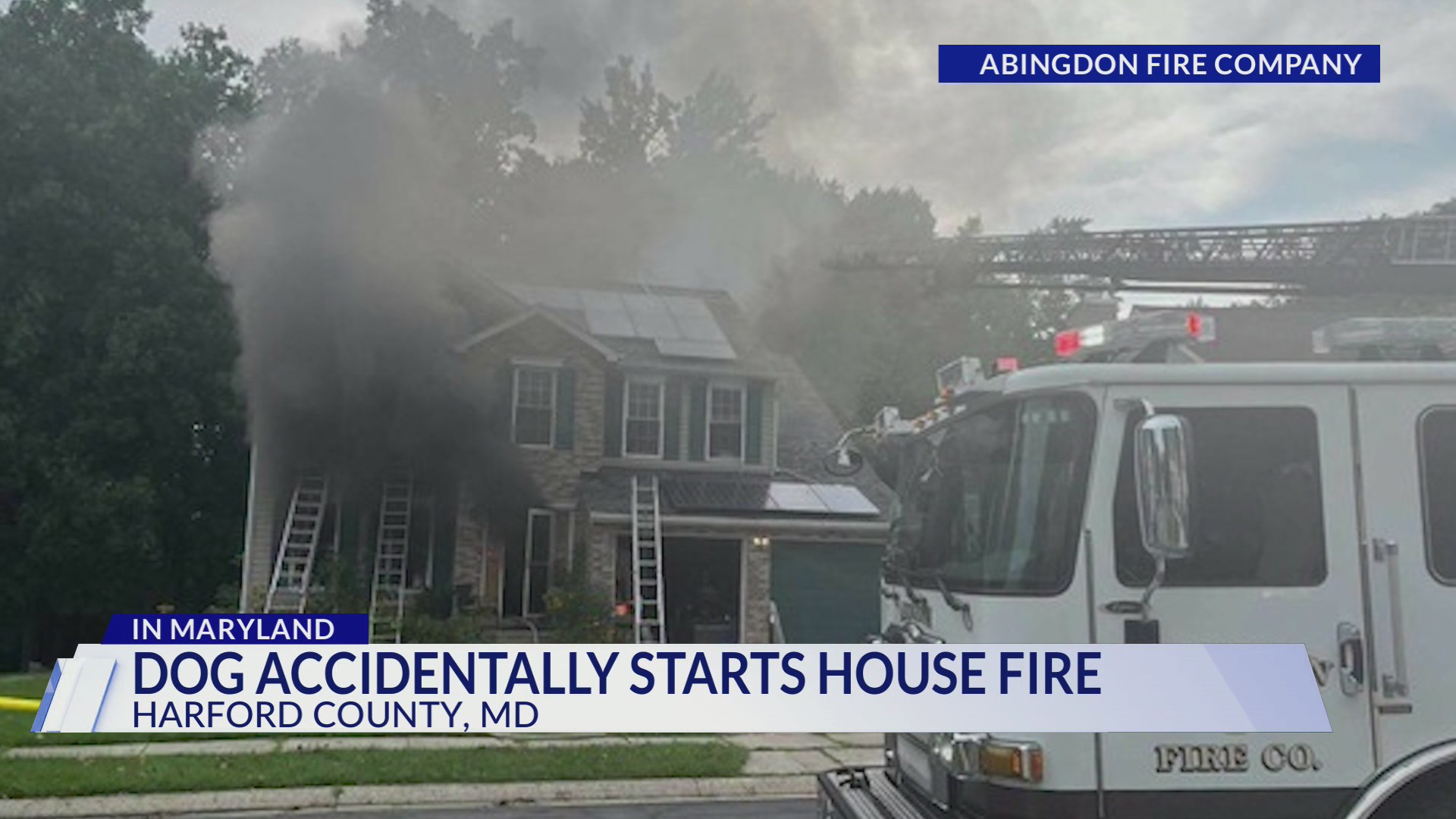 3 pets killed in Harford County house fire after dog jumps on counter, turns on ...