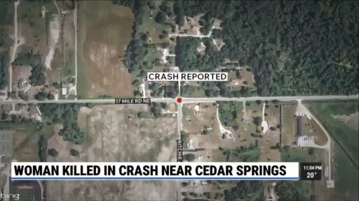 Woman dies after being hit by vehicle near Cedar Springs – WOODTV.com