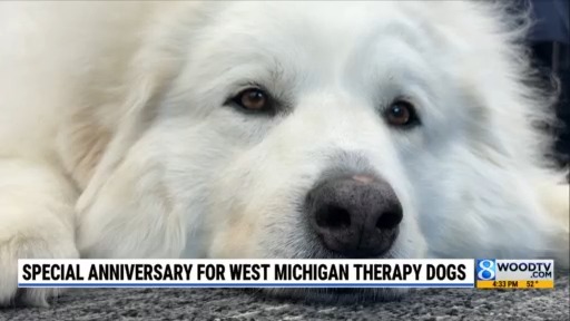 Special anniversary for West Michigan therapy dogs – WOODTV.com
