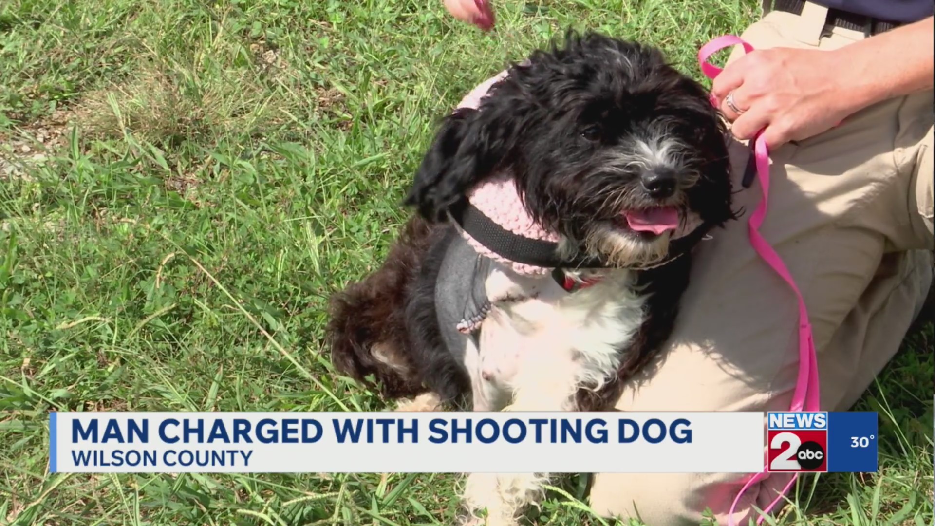 Man charged with shooting dog in Wilson County – WKRN News 2