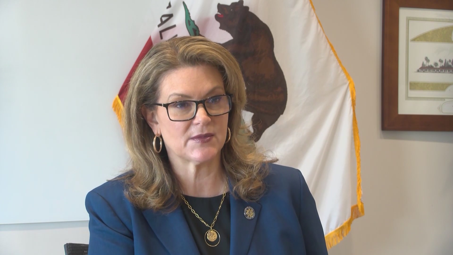 Fresno County DA calls for reform for mental health diversion, supports ...