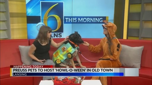 Preuss Pets to host ‘Howl-o-ween’ in Old Town – WLNS 6 News
