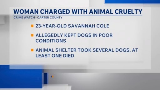 Carter County woman charged with multiple counts of animal cruelty ...