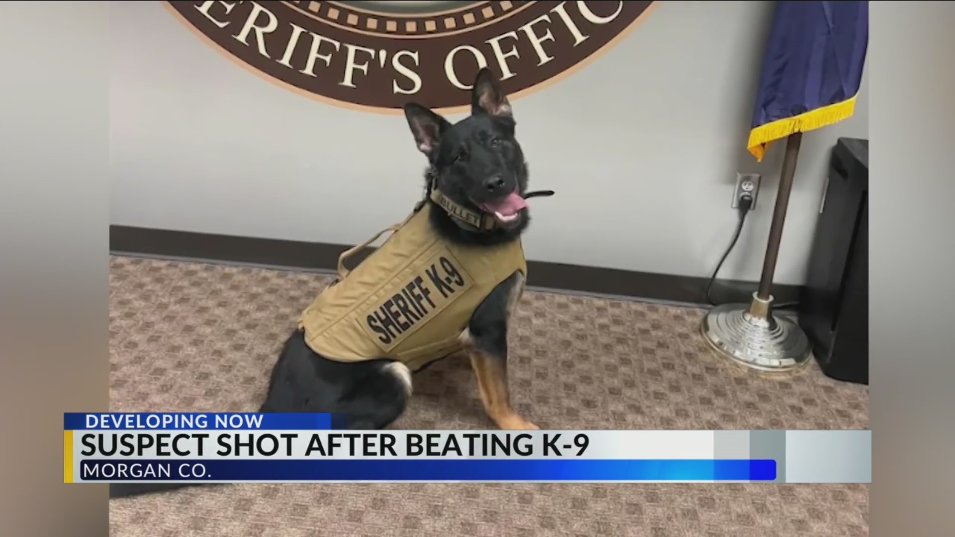 Morgan County deputies involved in shooting – Fox 59