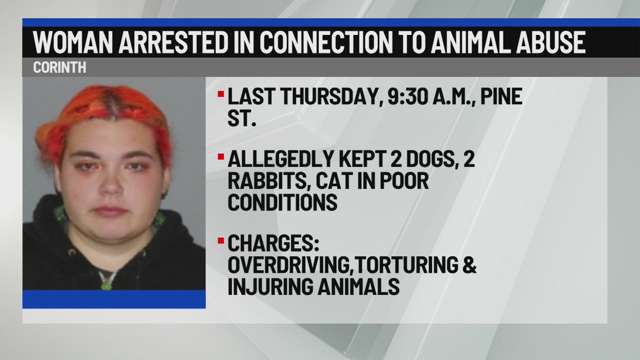Woman arrested in connection to animal abuse – NEWS10 ABC
