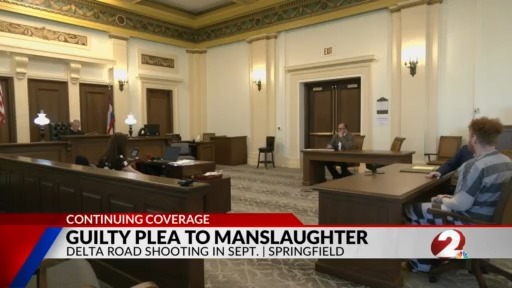 Man pleads guilty to fatal Springfield shooting – WDTN.com