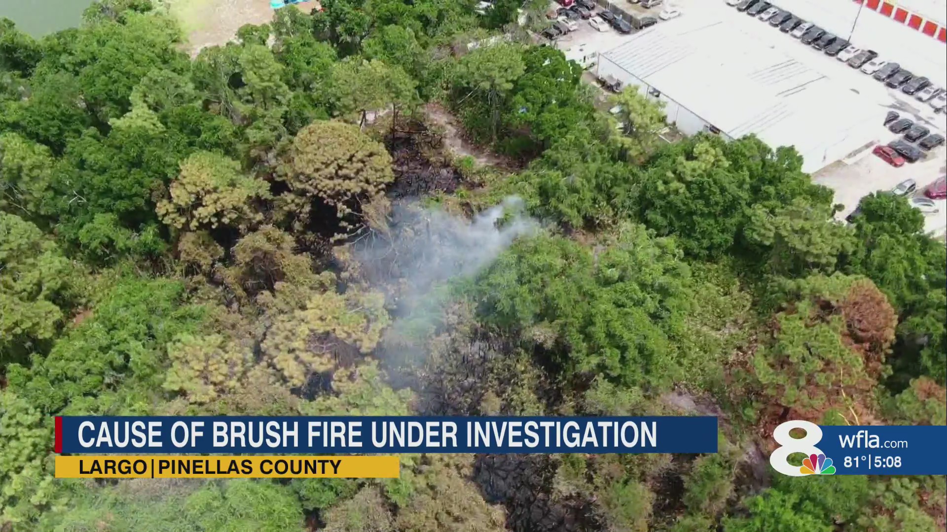 Crews contain brush fire in wooded area in Pinellas County – WFLA
