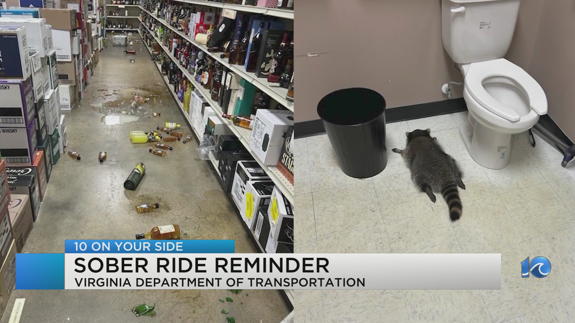 VDOT uses drunk raccoon as sober ride reminder – WAVY.com