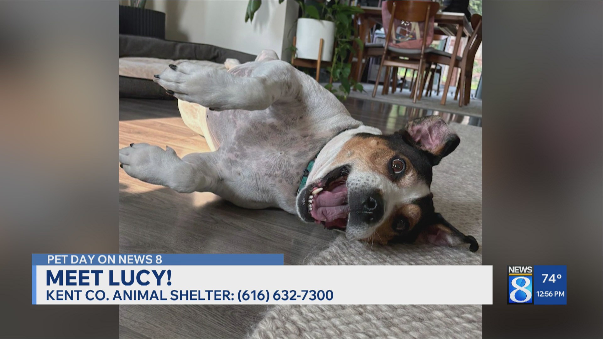 Pets of the Week: Bluu and Lucy