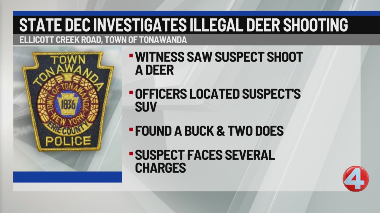 Buffalo man accused of illegally shooting deer – News 4 Buffalo