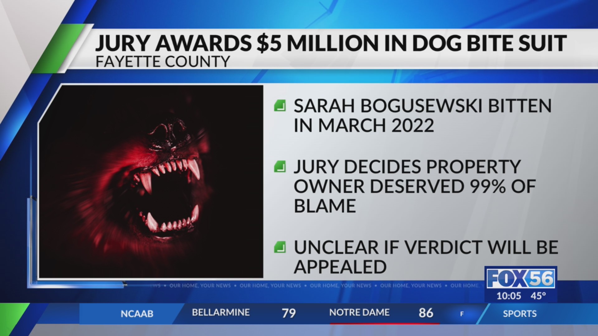 Woman sues, wins $5m after dog bites her in Fayette County – FOX 56 News