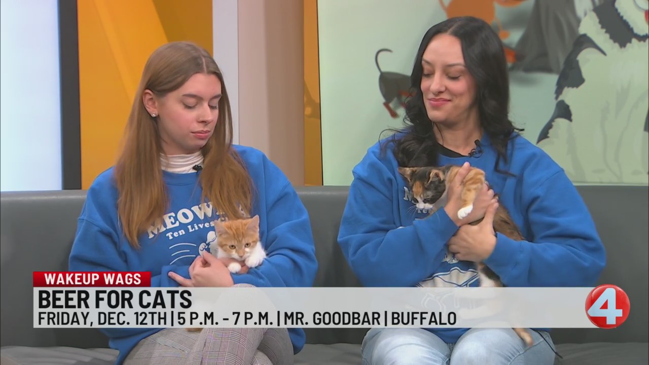 10 Lives Club teams up with Mister Goodbar for “Beer for Cats ...