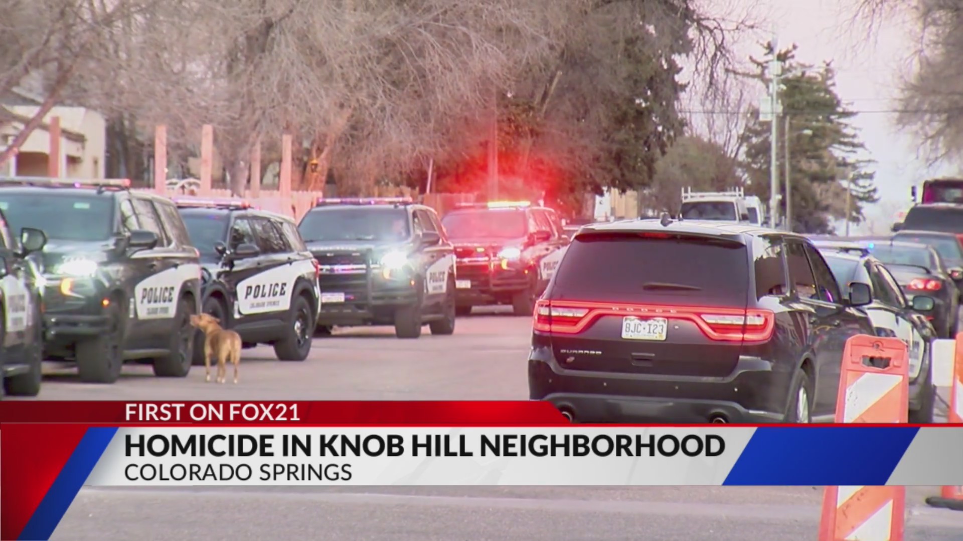 CSPD: One dead in shooting near Knob Hill – FOX21 News Colorado