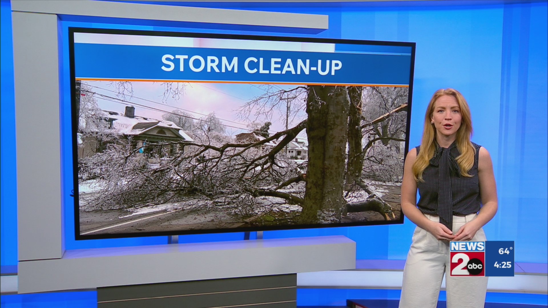 Clean-up efforts continue across Middle TN after winter storm – WKRN News 2
