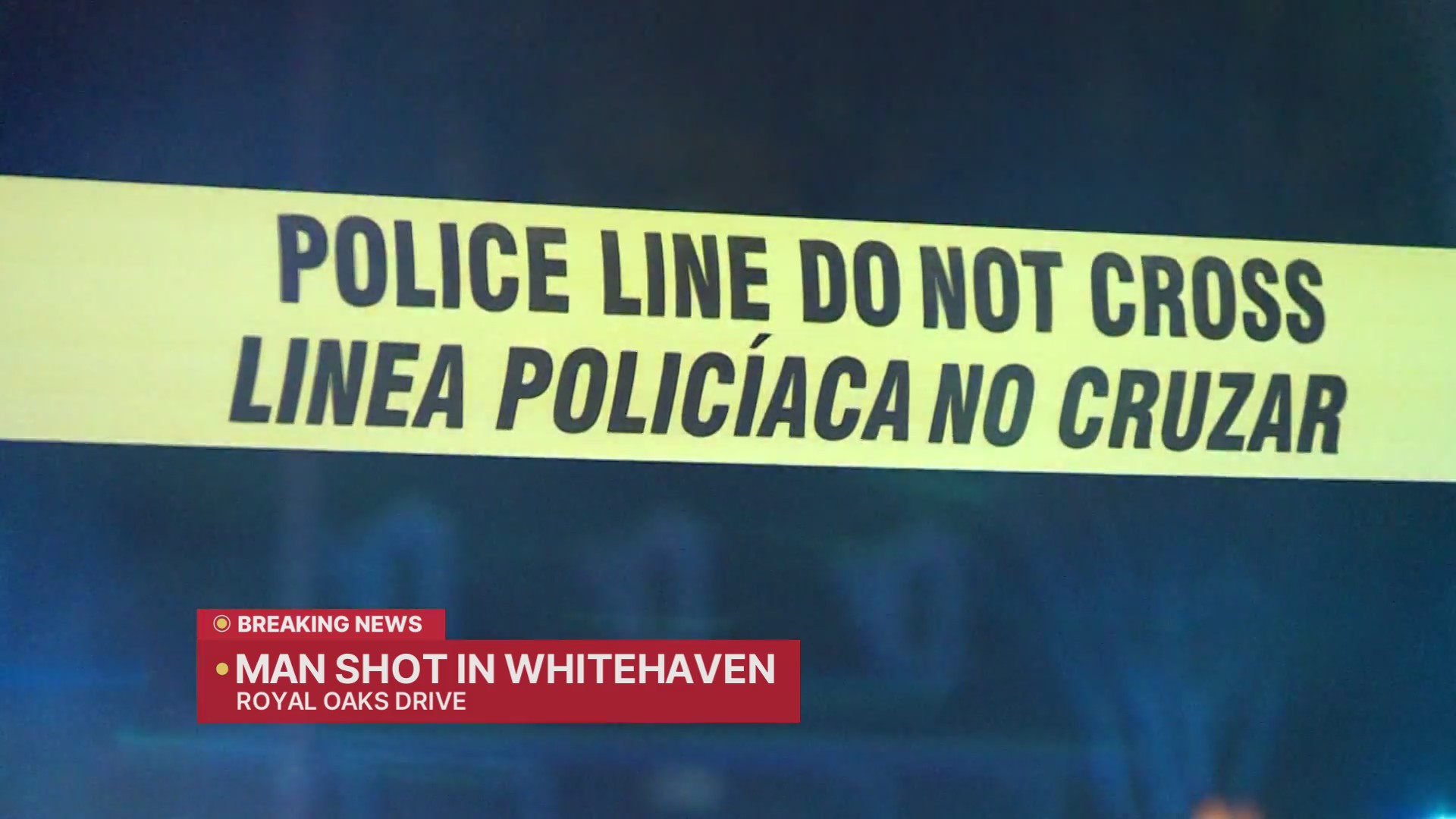 Man shot overnight in Whitehaven neighborhood – WREG.com