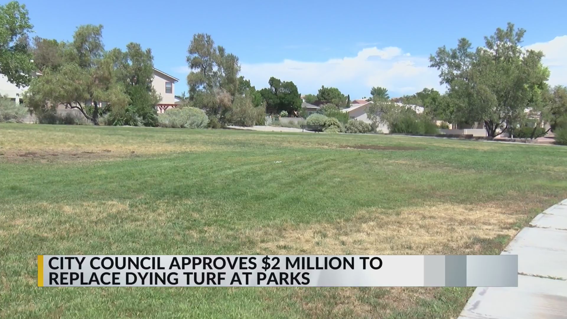 Albuquerque City Council approves more money to replace dying turf at ...