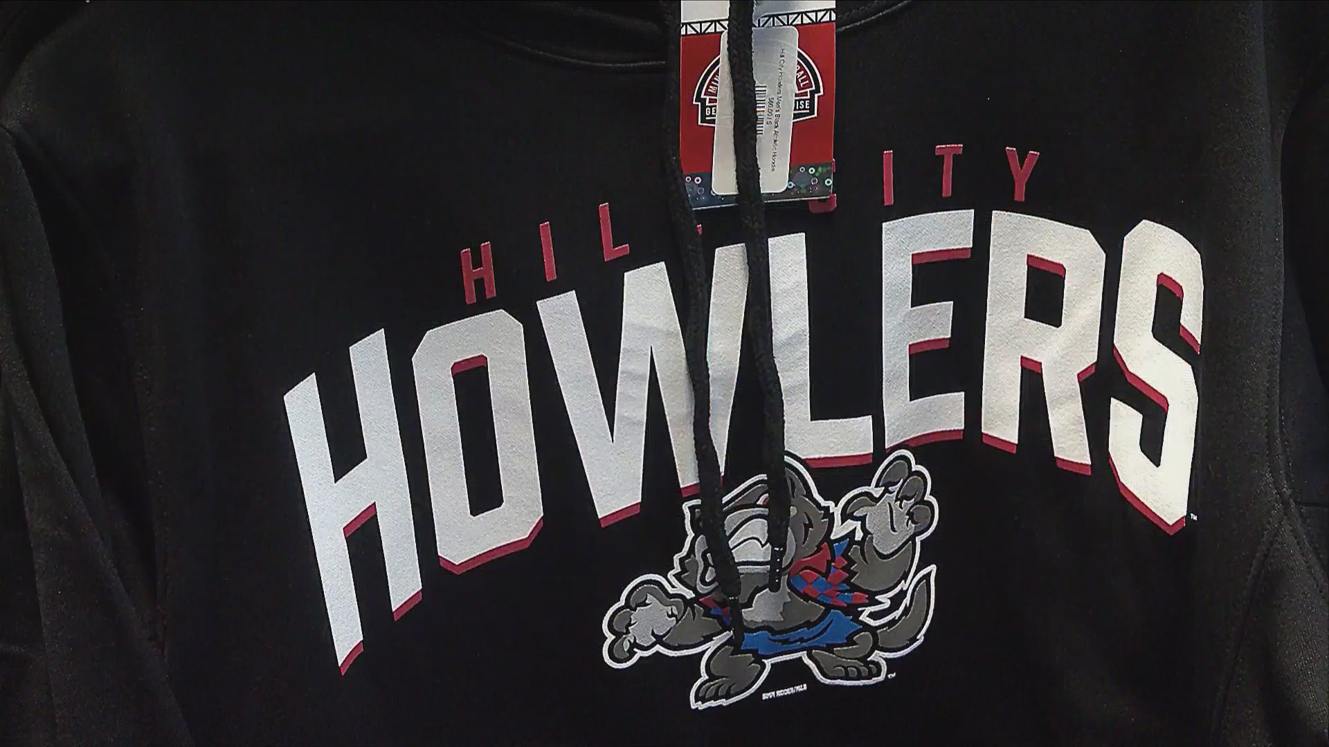 Hillcats rebrand as Hill City Howlers – WFXRtv