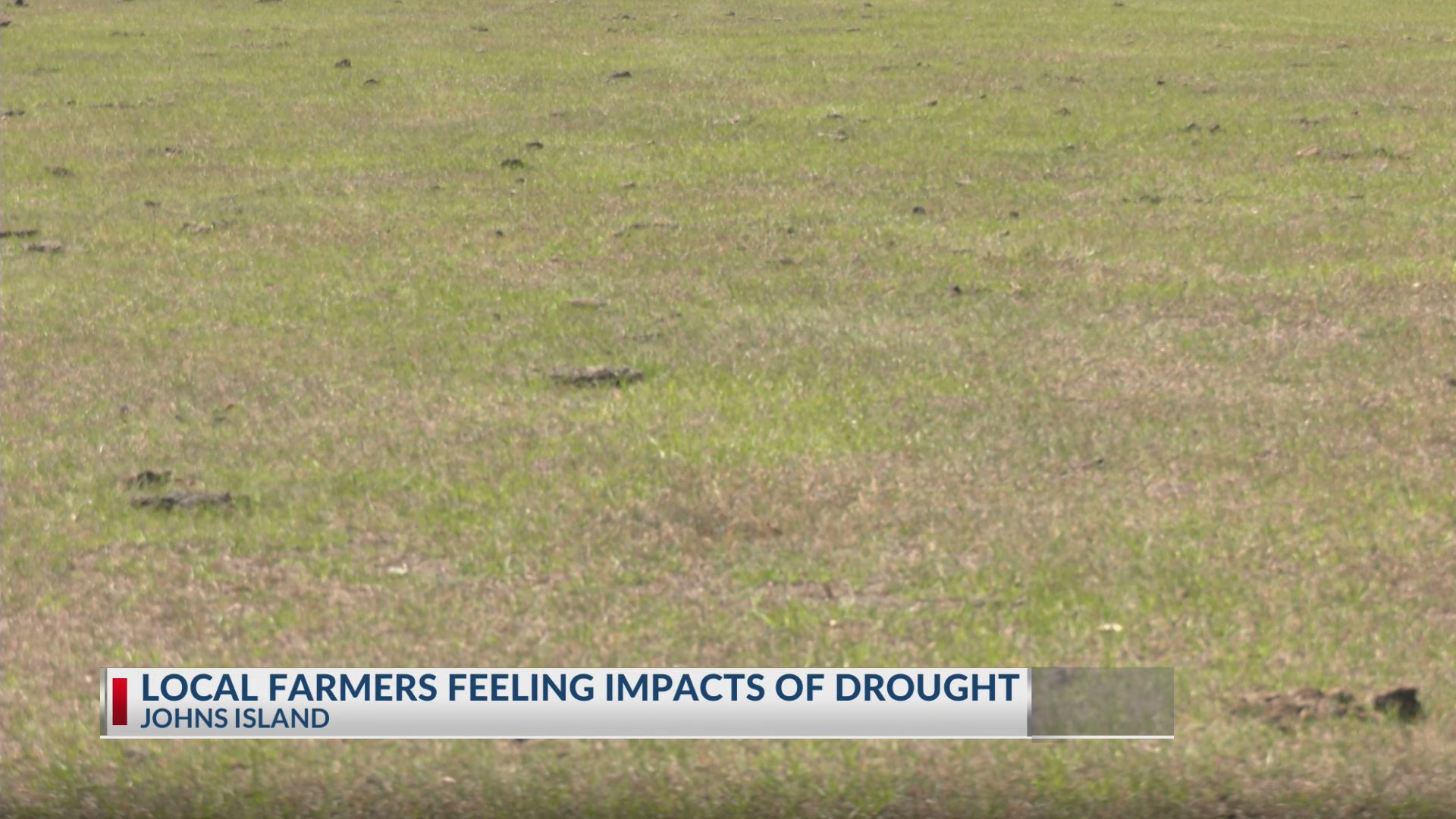 Local farmers feeling impacts of drought – WCBD News 2