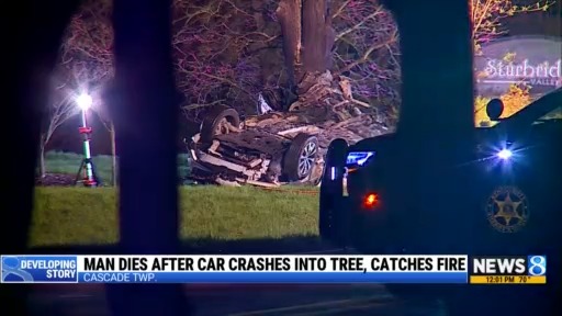 Driver dead after crashing into tree in Cascade Township – WOODTV.com