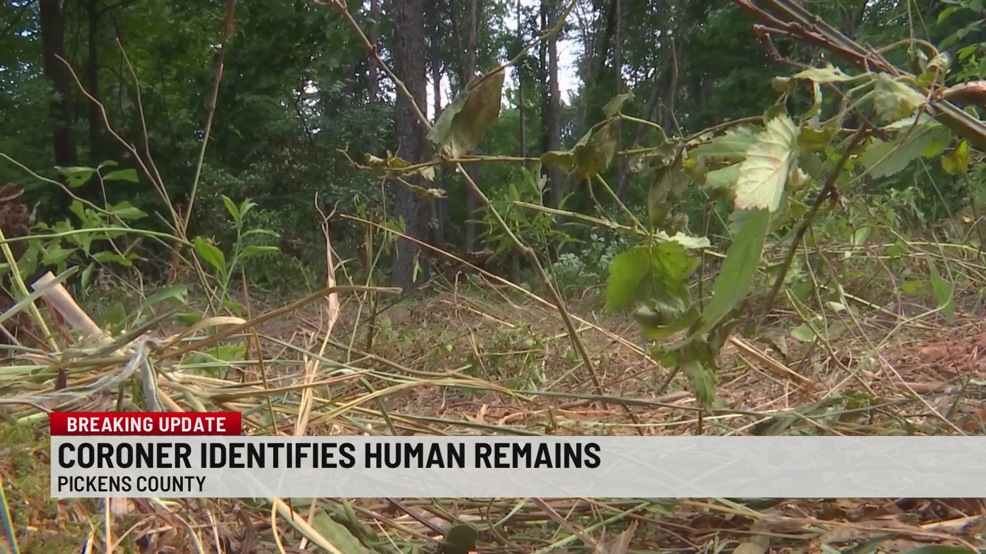 Human remains found near Pickens County home in 2024 identified ...