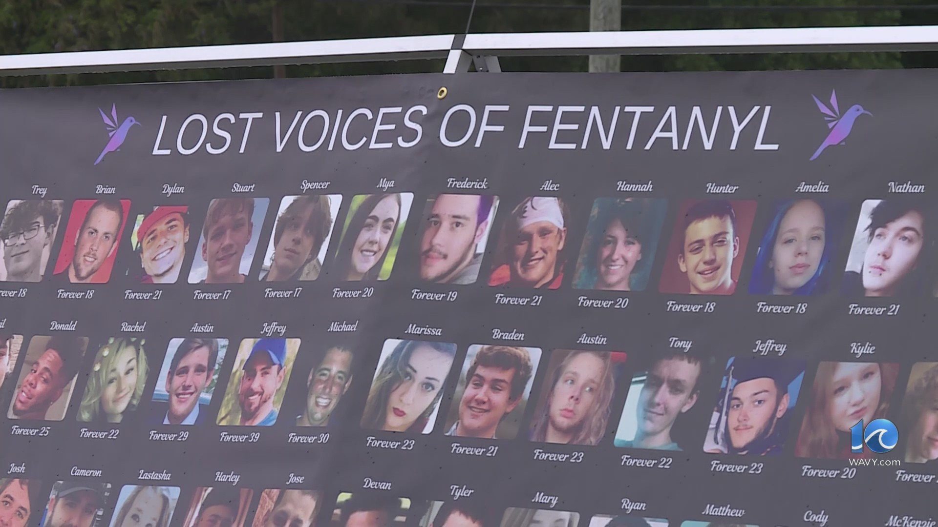 Fentanyl and Mental Health Awareness – WAVY.com