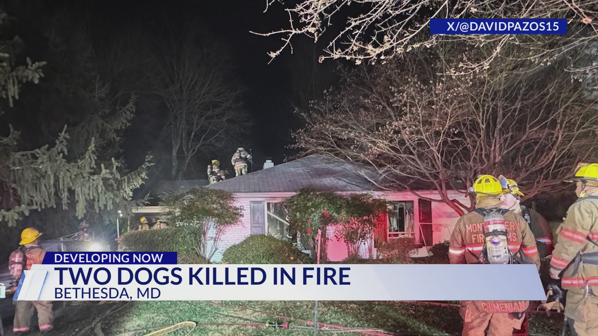 2 Dogs Killed in Bethesda House Fire – DC News Now | DC, Virginia ...