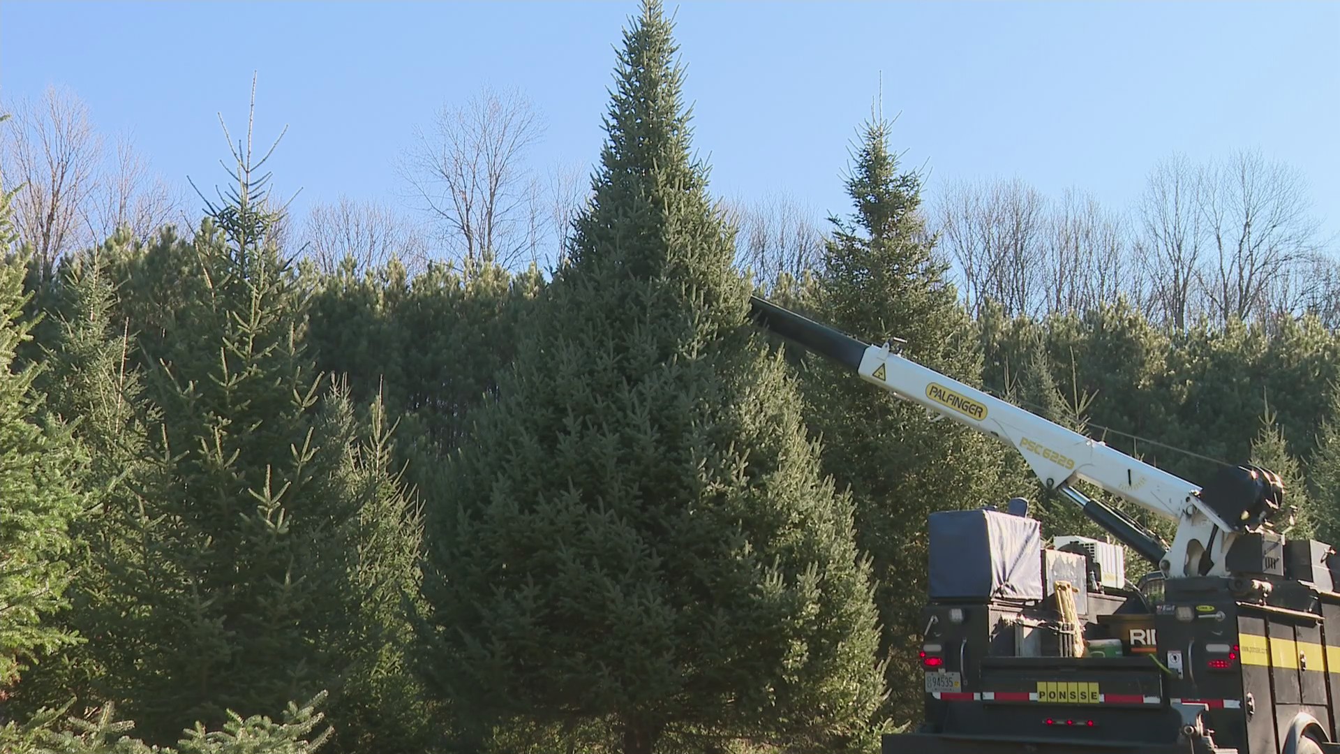 Longtime northeast Wisconsin tree farmer donates Christmas tree for ...